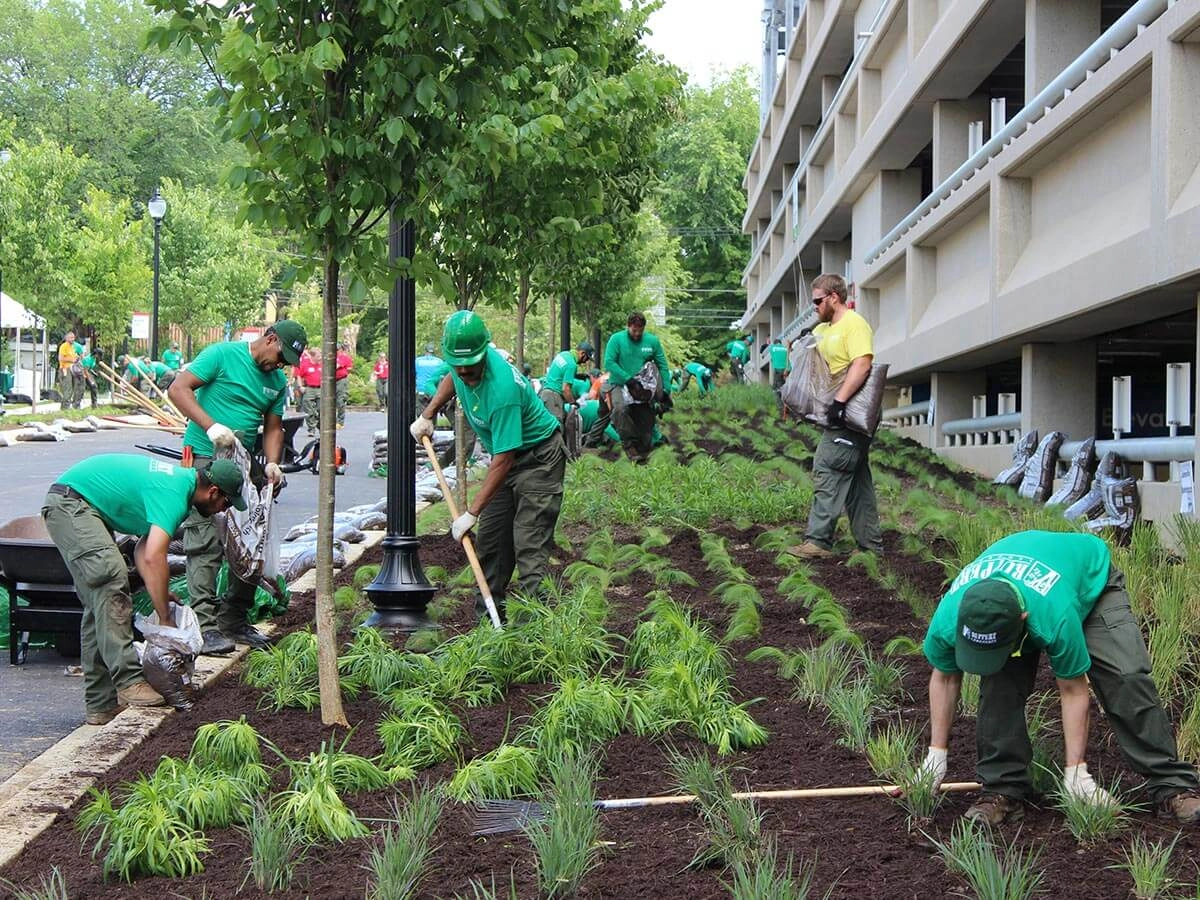 Large landscaping crew wearing matching green company shirts